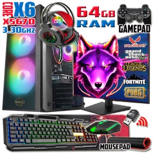 Wolf Xeon X5670 64gb Ram 256gb Ssd 250gb Hdd R7 240-4gb E.kartı 20